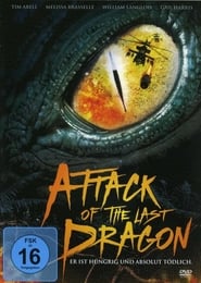 Attack of the Last Dragon (2004)