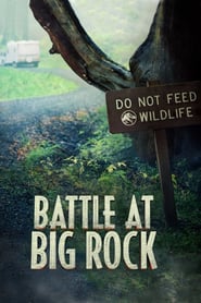 Battle at Big Rock (2019)