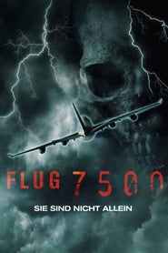 Flug 7500 – Sie sind nicht allein (2014)