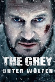 The Grey – Unter Wölfen (2012)