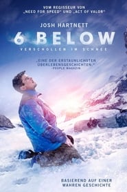 6 Below – Verschollen im Schnee (2017)