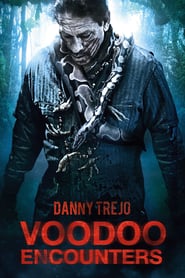 Voodoo Encounters (2014)