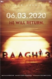 Baaghi 3 (2020)
