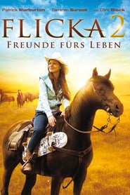 Flicka 2 – Freunde fürs Leben (2010)