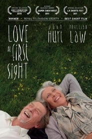 Love at First Sight (2010)
