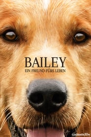 Bailey – Ein Freund fürs Leben (2017)