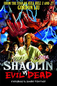 Shaolin vs. Evil Dead (2004)