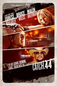 Catch.44 – Der ganz große Coup (2011)