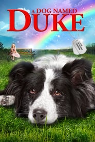 Ein Hund namens Duke (2012)